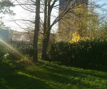 Residence from the garden